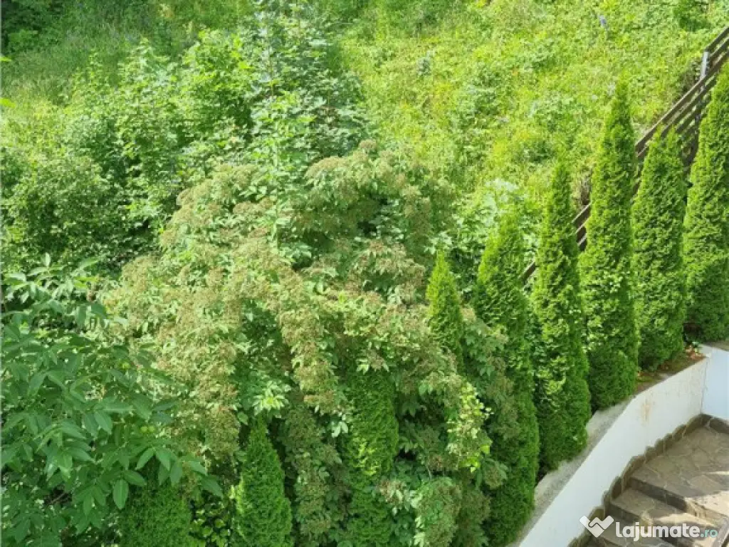 Apartament de trei camere in zona mirifica , Dobrogeanu Gher