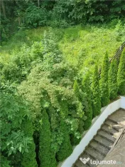 Apartament de trei camere in zona mirifica , Dobrogeanu Gher 