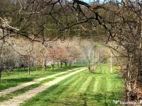 ???? Teren mixt -construibil (intravilan) + livadă matură 