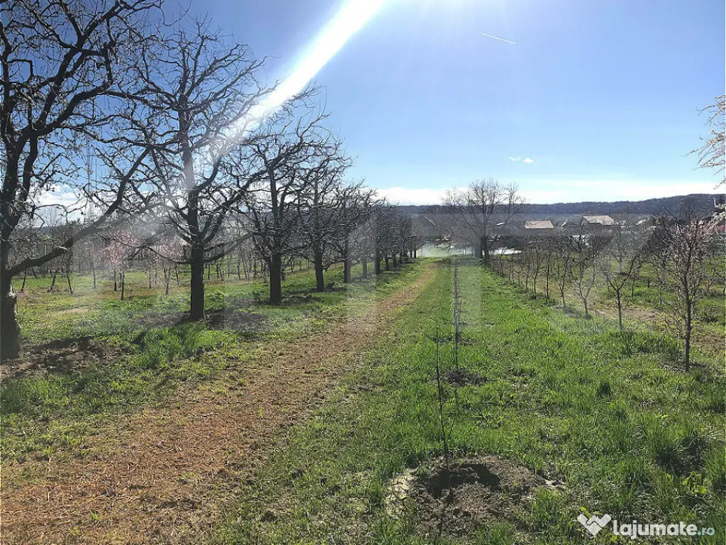 ???? Teren mixt -construibil (intravilan) + livadă matură