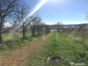 ???? Teren mixt -construibil (intravilan) + livadă matură 