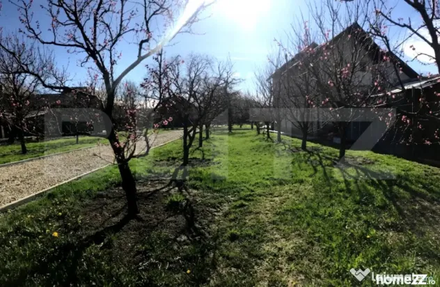 ???? Teren mixt -construibil (intravilan) + livadă matură - Voinesti (Dambovita)