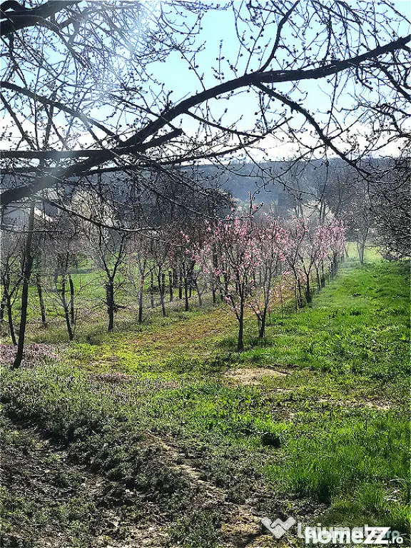 ???? Teren mixt -construibil (intravilan) + livadă matură - Voinesti (Dambovita)