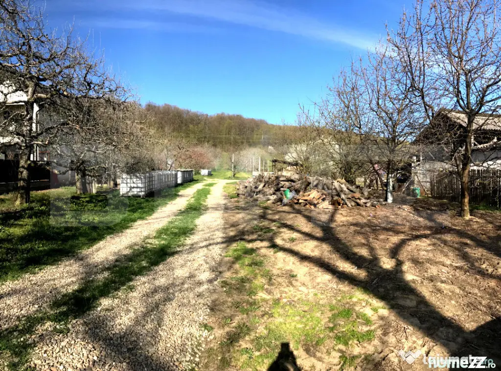 ???? Teren mixt -construibil (intravilan) + livadă matură - Voinesti (Dambovita)