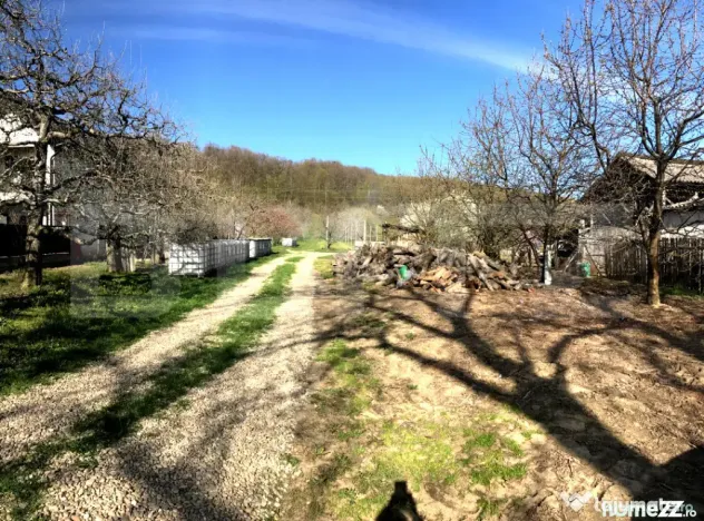 ???? Teren mixt -construibil (intravilan) + livadă matură - Voinesti (Dambovita)