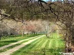 ???? Teren mixt -construibil (intravilan) + livadă matură
