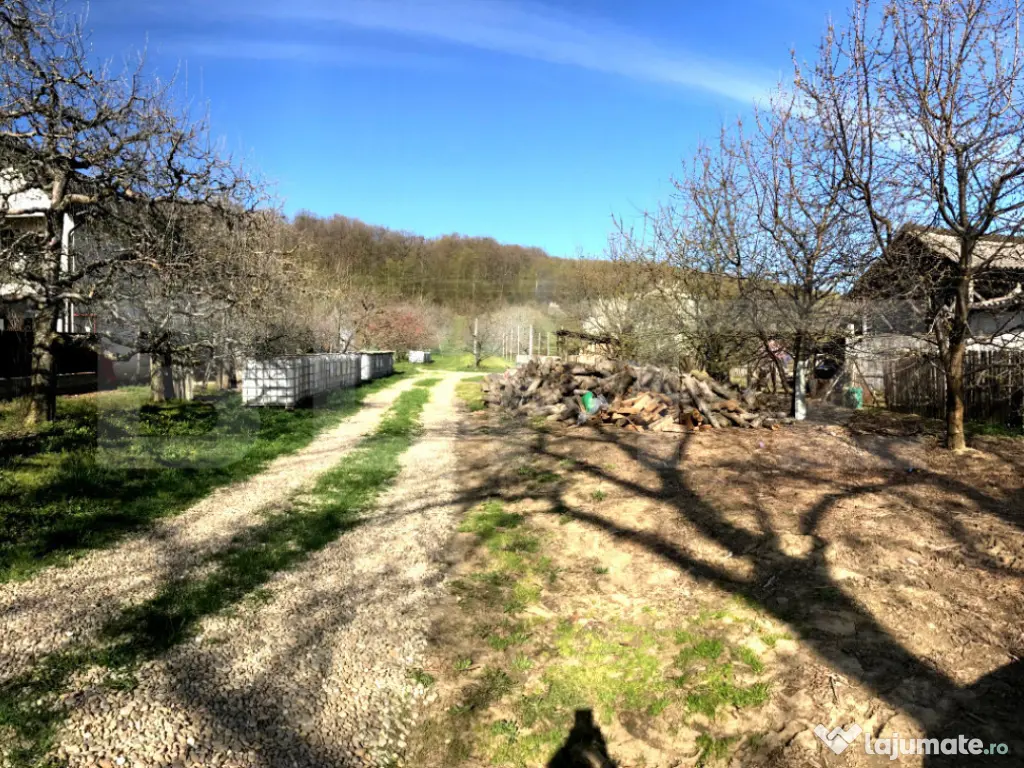 ???? Teren mixt -construibil (intravilan) + livadă matură