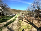 ???? Teren mixt -construibil (intravilan) + livadă matură 