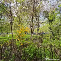 Dr. Taberei - Afi Cotoroceni | Ap. 2 camere | Mobilat |Balcon Generos