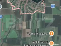 Teren intravilan 23.000 mp, Buziaș, front 60 ml