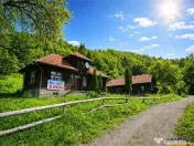 FILM! Casa traditionala pe domeniu de 4.300mp teren, Bran - 