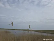 Investitie - Balta ritm crestere excelent 