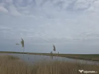 Investitie - Balta ritm crestere excelent 