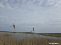 Investitie - Balta ritm crestere excelent