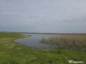 Investitie - Balta ritm crestere excelent 