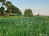 TEREN INTRAVILAN//ZONA CARTIER ROUA PLOIESTI 