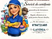 Echipa mobila de curatenie 