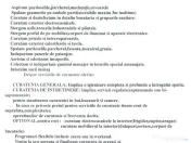 Echipa mobila de curatenie 