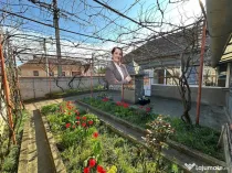 BOCSA Romana, Casa Cocheta cu Gradina