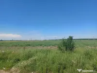 Teren intravilan, 12000 mp, Ciorogarla, jud. Ilfov 