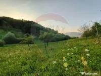 Comision 0! Teren intravilan 2.339 mp Barsana – oferta ... 