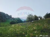 Comision 0! Teren intravilan 2.339 mp Barsana – oferta ... 