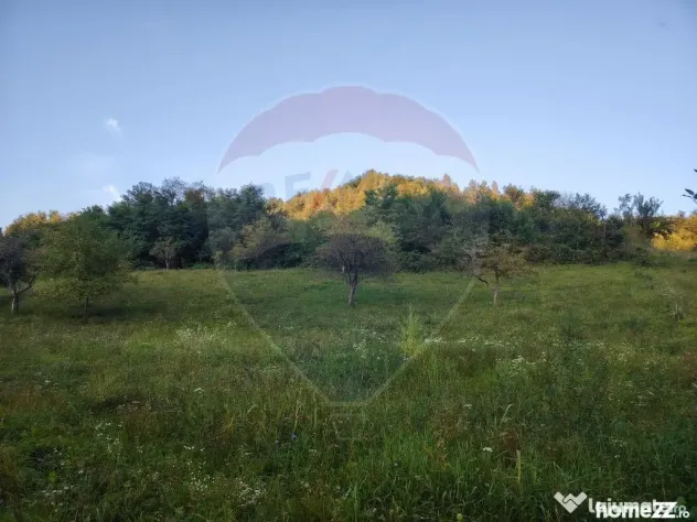 Comision 0! Teren intravilan 2.339 mp Barsana – oferta ... - Barsana (Maramures)