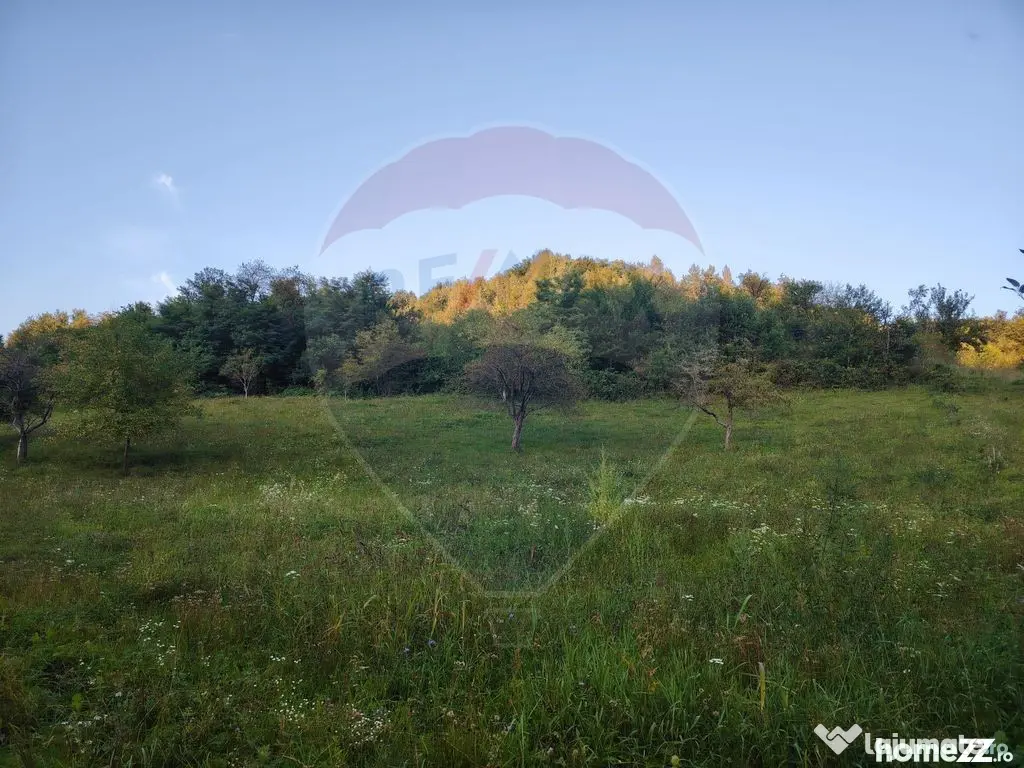 Comision 0! Teren intravilan 2.339 mp Barsana – oferta ...