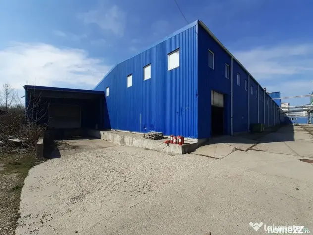 Berceni, hale dimensiuni 1800mp, 2750mp si 2900, acces facil