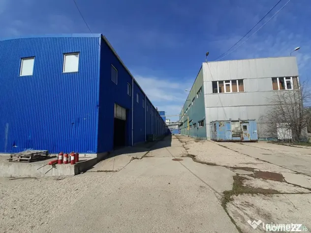Berceni, hale dimensiuni 1800mp, 2750mp si 2900, acces facil