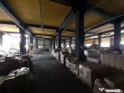 Berceni, hale dimensiuni 1800mp, 2750mp si 2900, acces facil 