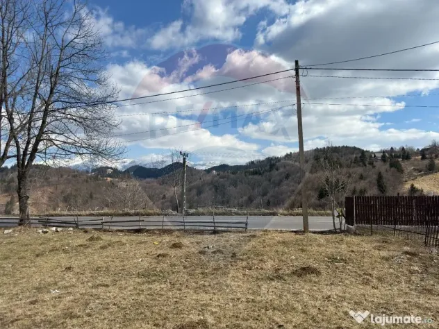 Teren Premium în Fundata: 3,784mp de Priveliște Panoram...