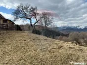 Teren Premium în Fundata: 3,784mp de Priveliște Panoram... 