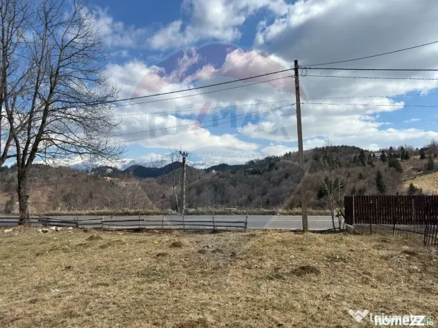 Teren Premium în Fundata: 3,784mp de Priveliște Panoram...