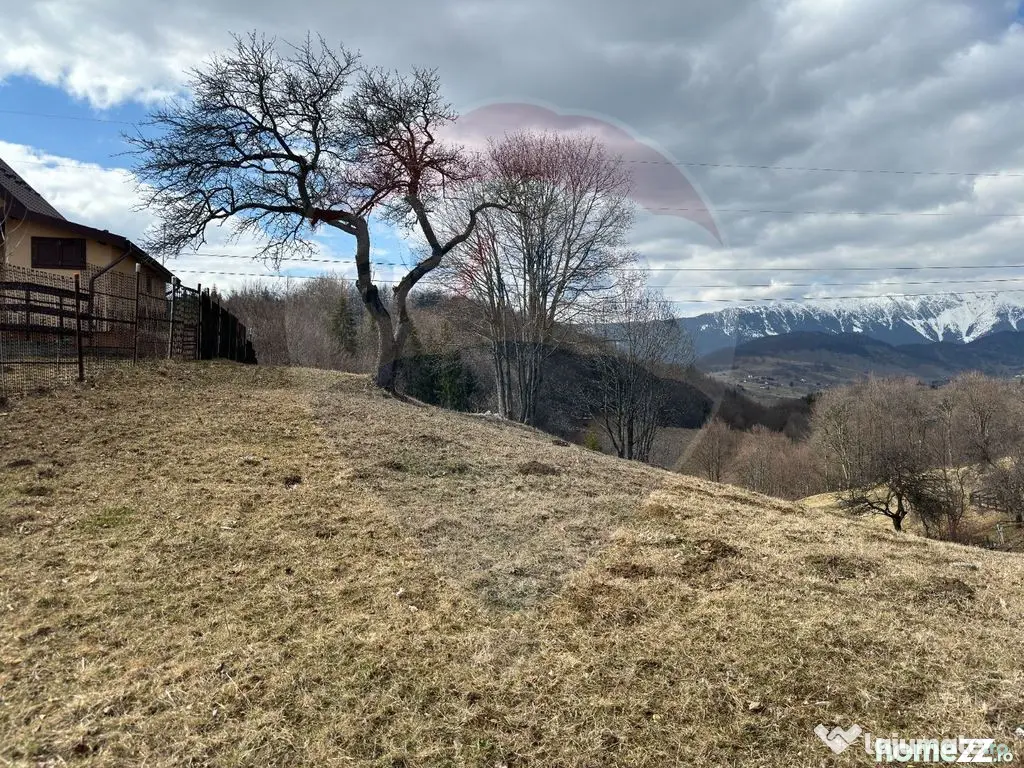 Teren Premium în Fundata: 3,784mp de Priveliște Panoram...