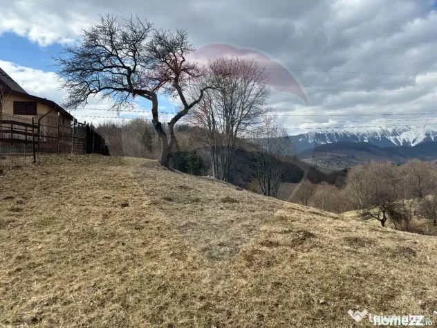 Teren Premium în Fundata: 3,784mp de Priveliște Panoram...