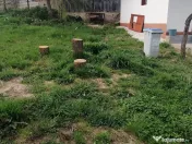 Casa renovata, 3 camere cu teren 900mp, pe E81, Floresti 