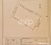 ALBOTA | Teren intravilan 21.494 mp | Deschidere DN5 – 107 