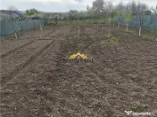 CASA DE VACANTA SI TEREN 