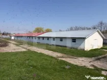 Oportunitate de investitie!!! Ferma de animale( fost CAP), 5