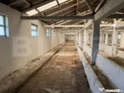 Oportunitate de investitie!!! Ferma de animale( fost CAP) 5 