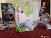 Tablou pe panza canvas 