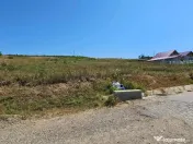 Teren 2.340mp, Dancas – Miroslava, 