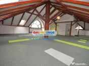 Vila 14 camere S P E1 M Arcul de Triumf Herastrau Kiseleff 