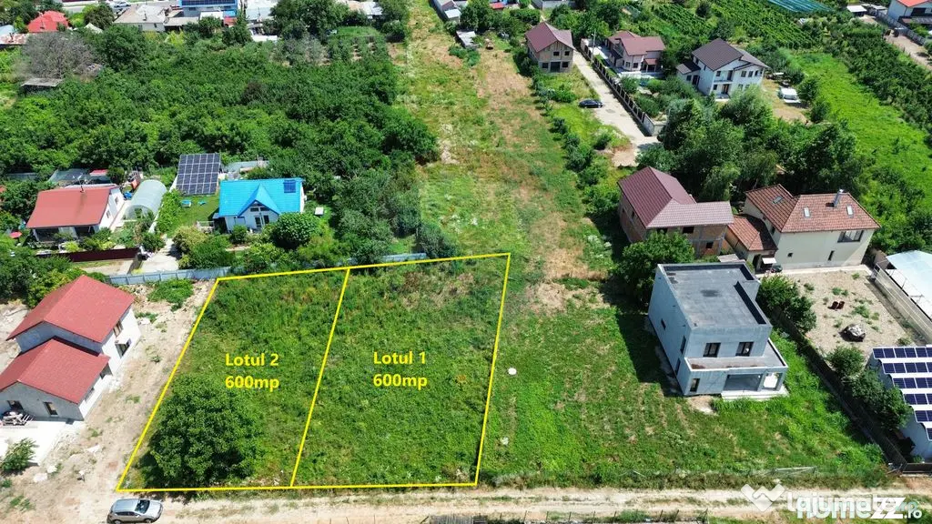 Teren Campineanca - Oportunitate de pret! - Campineanca (Vrancea)
