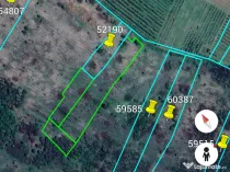 Teren 6.000 mp pe str. Dealul Nou