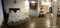 Apartament cu 1 camere de vânzare în zona Central