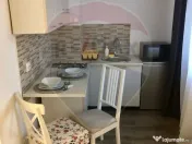 Apartament cu 1 camere de vânzare în zona Central 