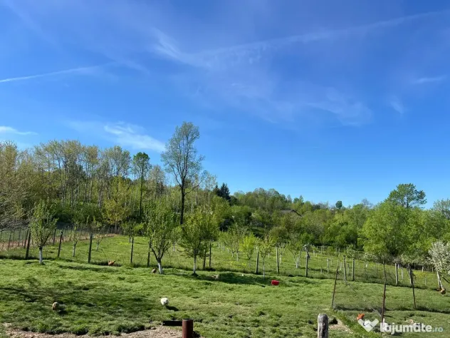 Casă la munte cu teren 9.000 mp Cârligei Bumbești Pițic Gorj