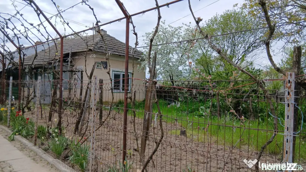 Casa de vanzare CELARU-APELE VII Dolj teren 8481 mp - Soreni (Dolj)